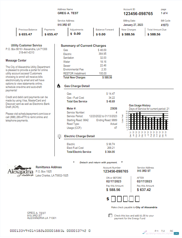 download download USA ALEXANDRIA utility bill Word and PDF template PDF template PDF template